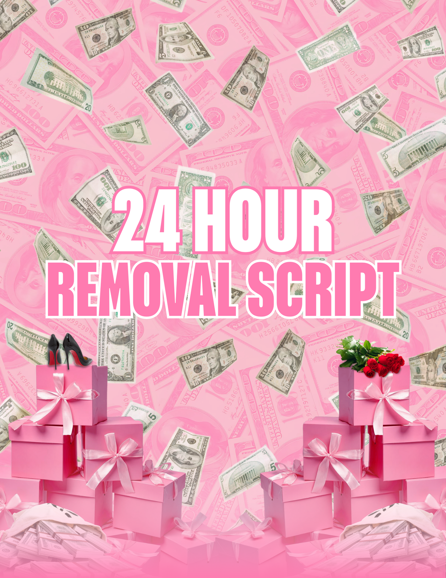 24 Hour Removal Script