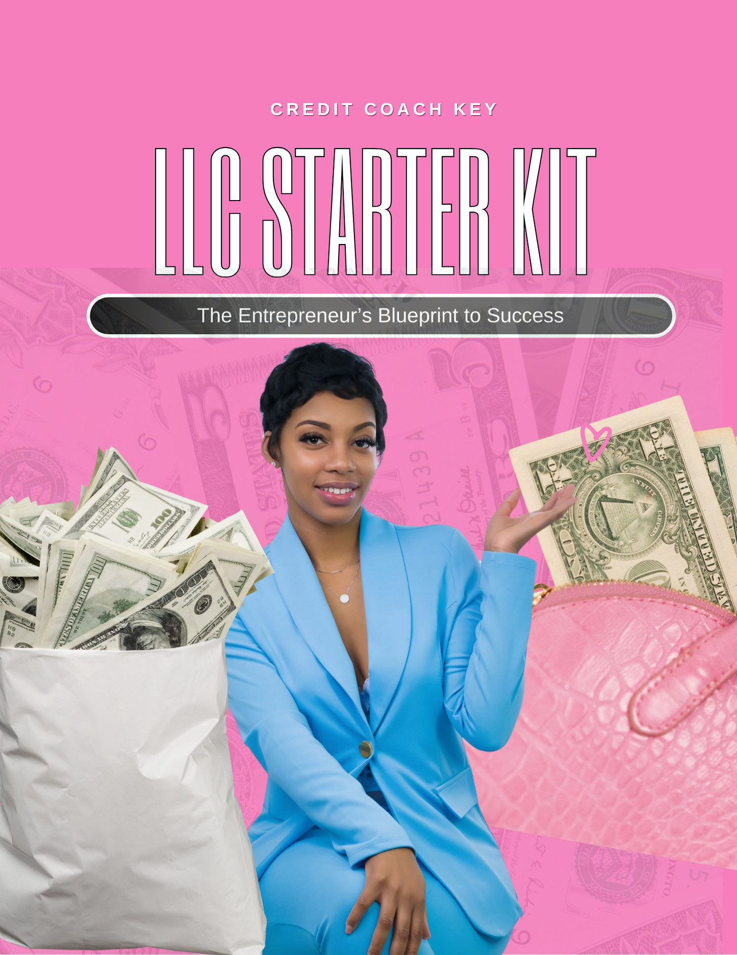 LLC Starter Kit